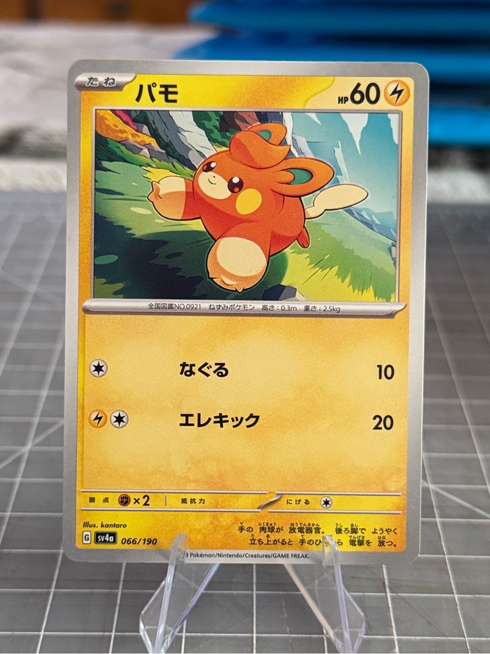 Pawmi Adorable Pokémon Card Japanese